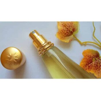 Chastity EDP Perfume for Women 100ml Buy in UG - Image 4