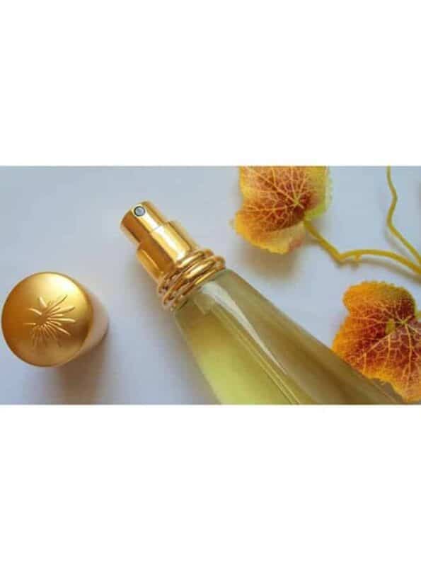 Chastity EDP Perfume for Women 100ml Buy in UG - Image 4